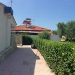 Theodora *